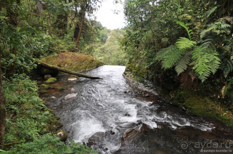 Активная Коста-Рика (часть 2)