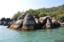 Южный Гоа. Пляжи Палолем и Кола