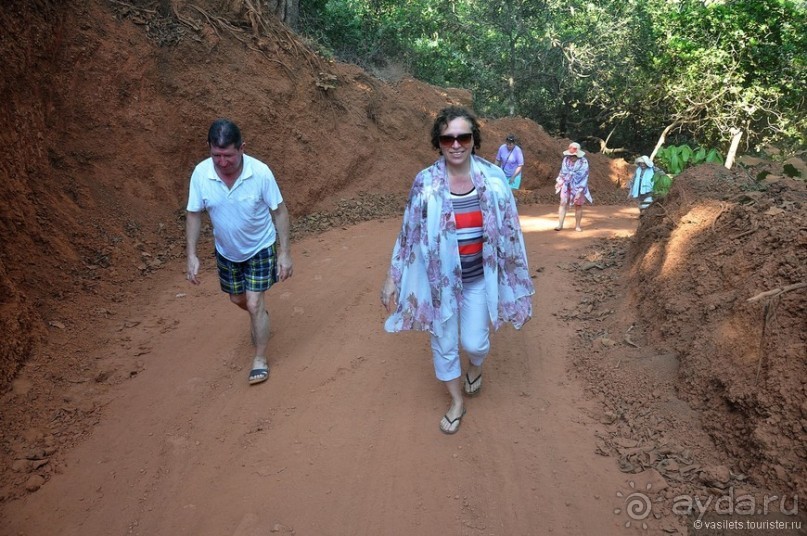 Южный Гоа. Пляжи Палолем и Кола