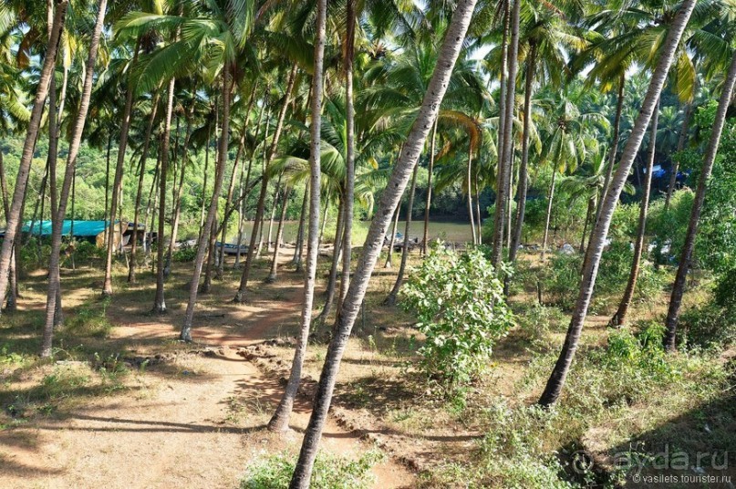 Южный Гоа. Пляжи Палолем и Кола