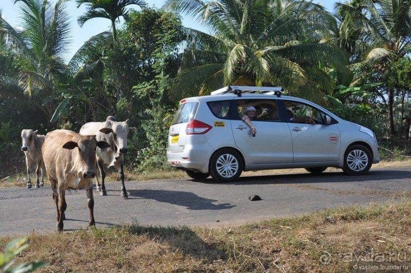 Южный Гоа. Пляжи Палолем и Кола