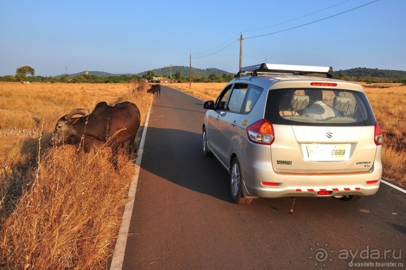 Южный Гоа. Пляжи Палолем и Кола
