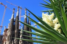 Большой забег по Андалусии и Барселона