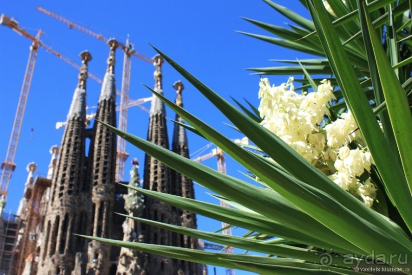 Большой забег по Андалусии и Барселона