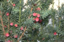 Ленивое очарование Аугсбурга