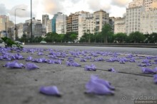 Буэнос-Айрес — город добрых ветров