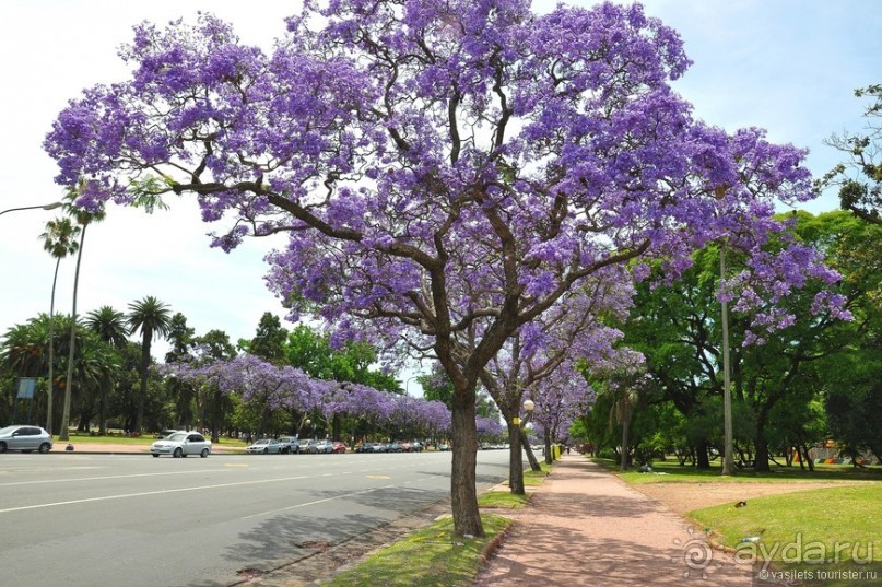 Буэнос-Айрес — город добрых ветров