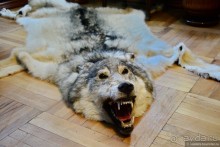 Альбом отзыва "Есенинская рязанщина"