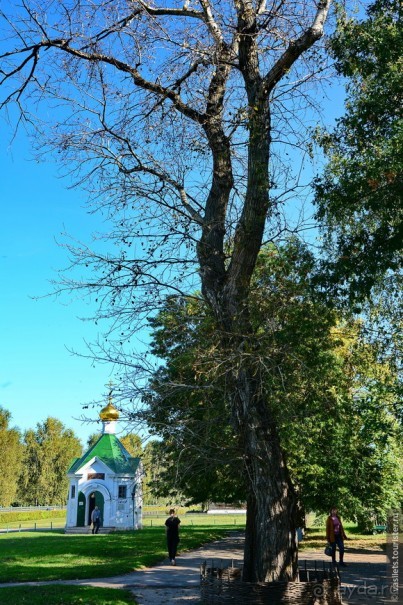 Есенинская рязанщина