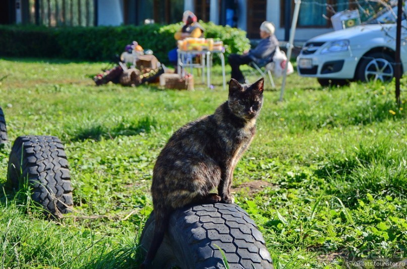Есенинская рязанщина