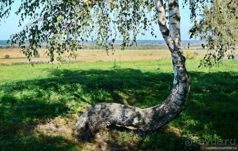 Есенинская рязанщина