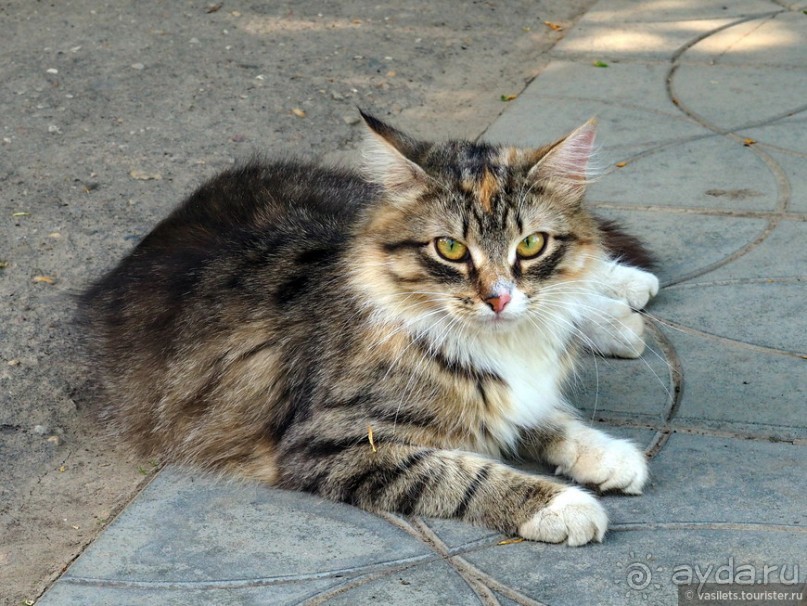 Боровск — почти Бавария