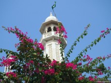 Блеск и ужас Бомбея