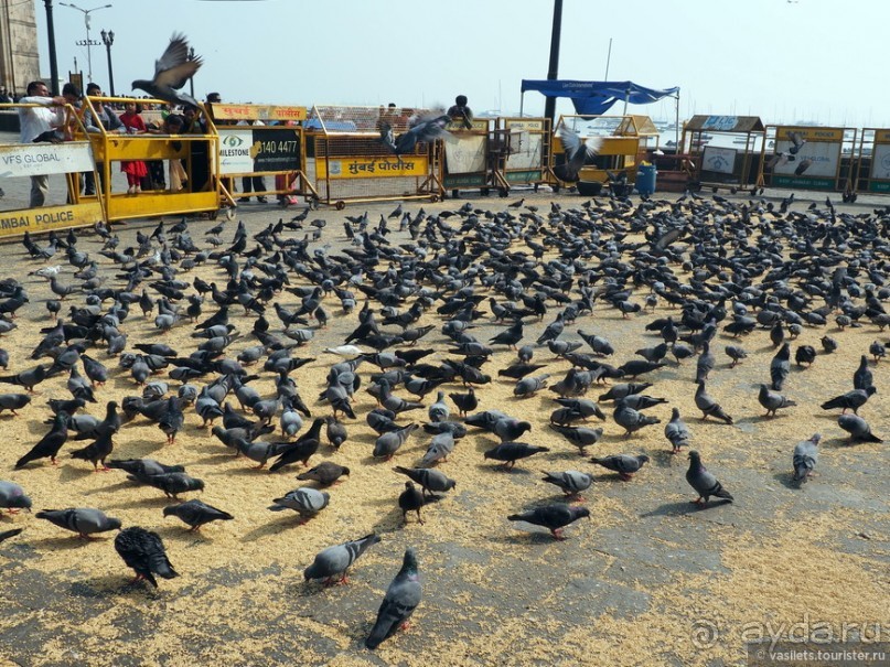 Блеск и ужас Бомбея