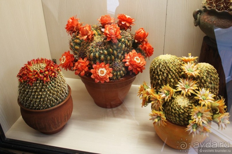 Новый год по-дунайски. Будапешт