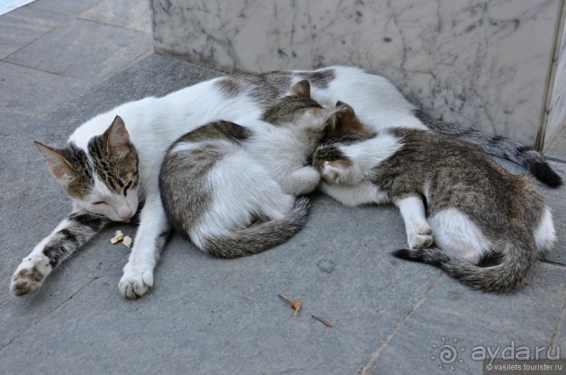 По Баку неспешным шагом