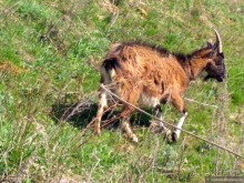 Половодье в рязанской глуши