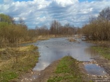 Альбом отзыва "Половодье в рязанской глуши"