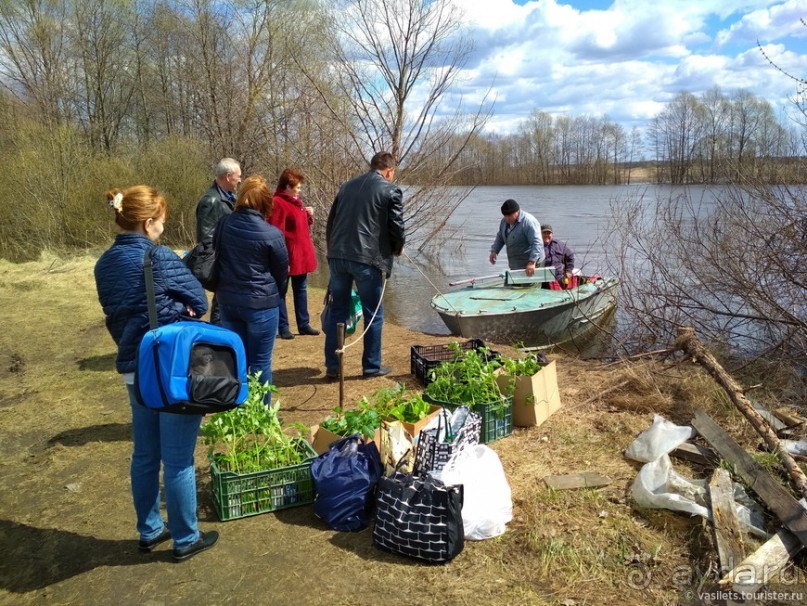 Половодье в рязанской глуши