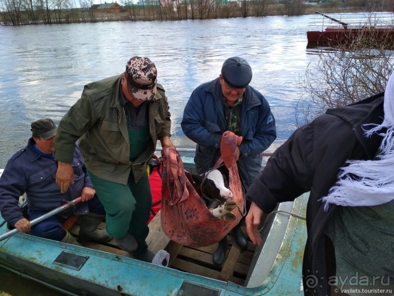 Половодье в рязанской глуши