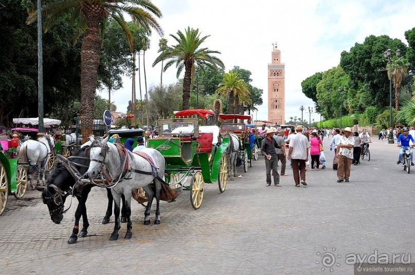 Марракеш. Площадь мертвецов