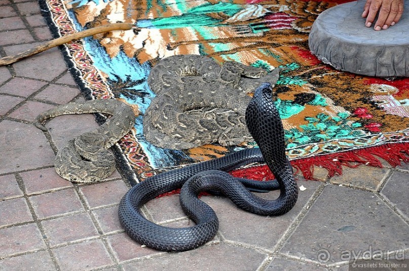 Марракеш. Площадь мертвецов