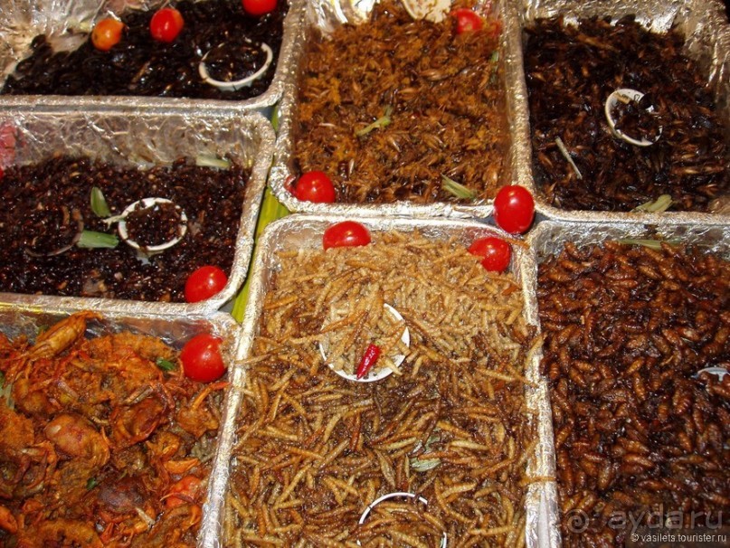 Бангкок, Чианг-Май — две тайские столицы