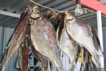 Самара глазами москвича