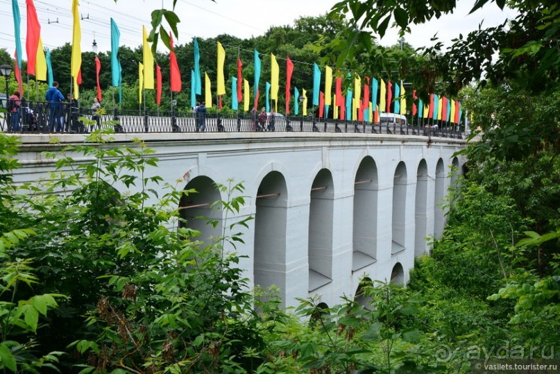 Калуга кошачья и космическая