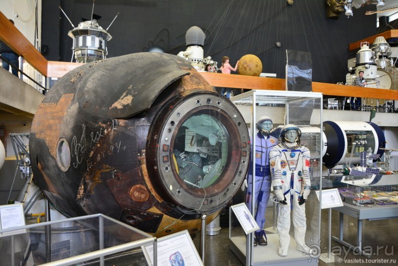 Калуга кошачья и космическая