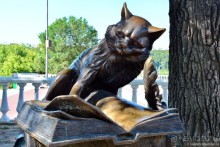 Калуга кошачья и космическая