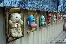 Калуга кошачья и космическая