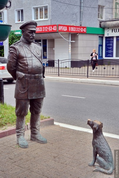 Калуга кошачья и космическая