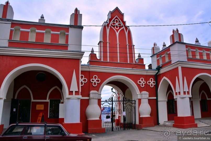 Калуга кошачья и космическая