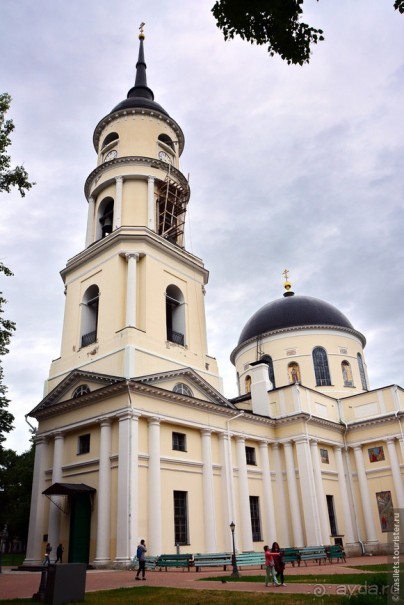 Калуга кошачья и космическая