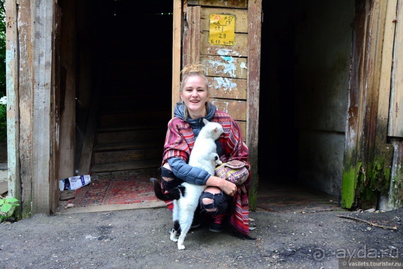 Калуга кошачья и космическая