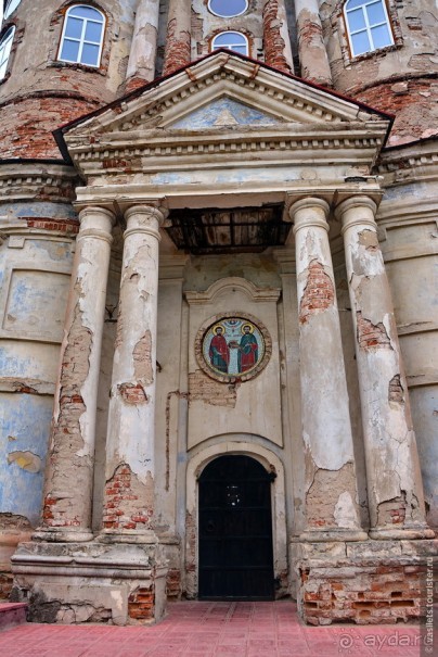 Калуга кошачья и космическая