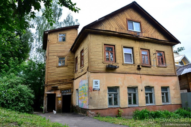 Калуга кошачья и космическая