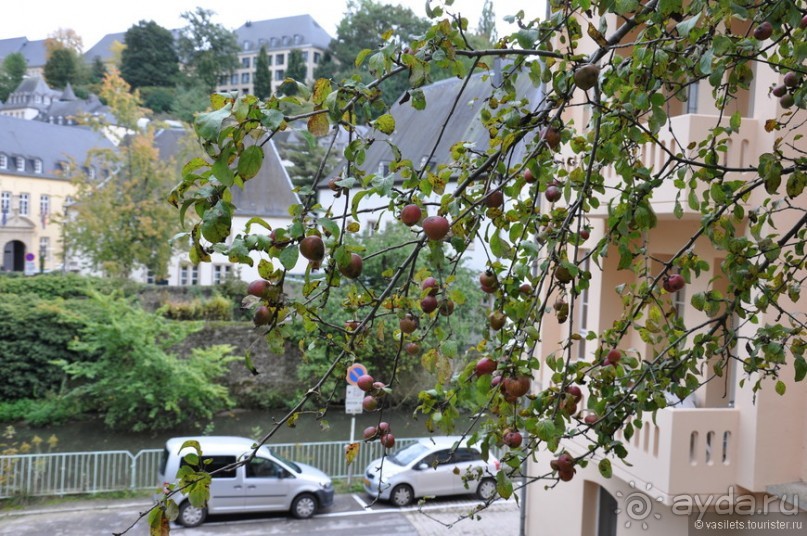 Строгий Люксембург