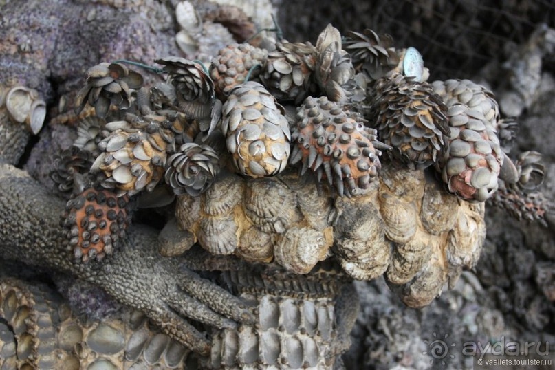 Мюнхен без Октоберфеста