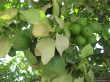 Немного о Кипре