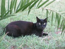 Немного о Кипре