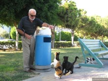 Немного о Кипре