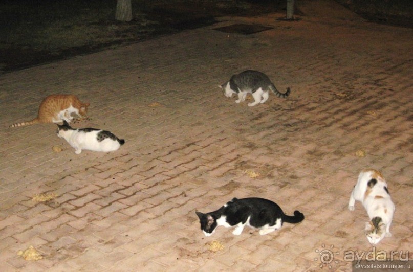 Немного о Кипре