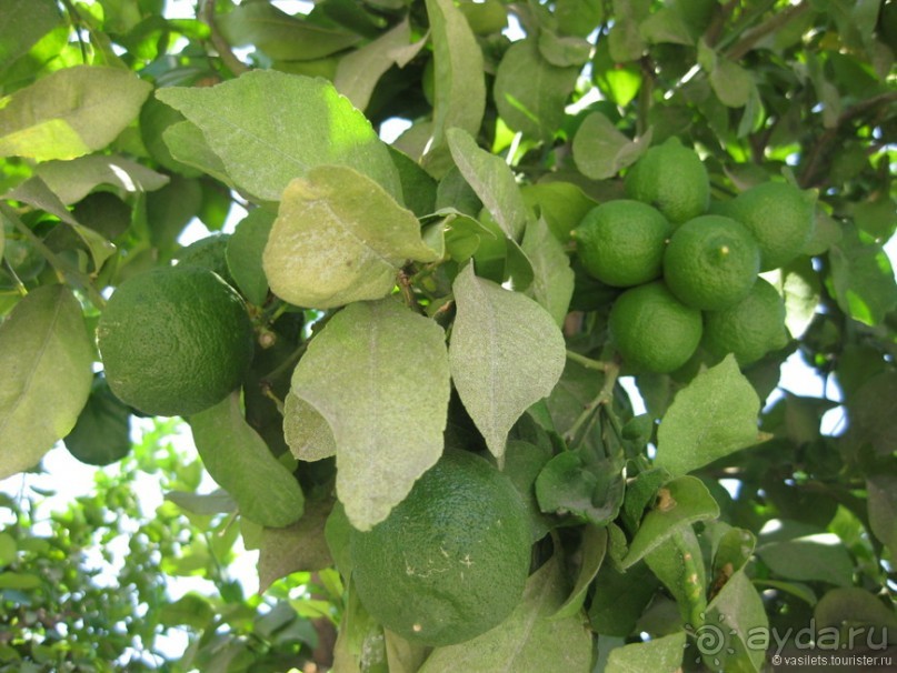 Немного о Кипре