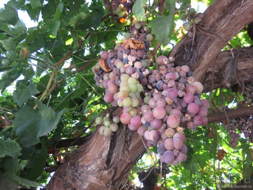 Немного о Кипре