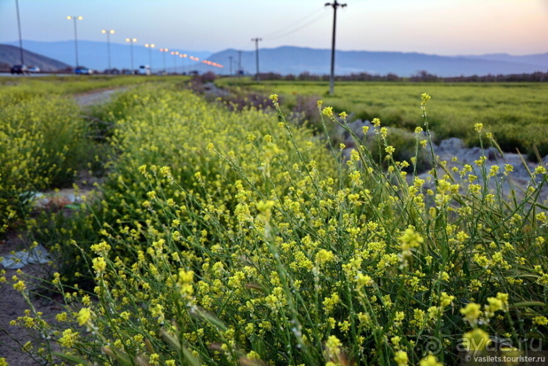 Шираз и кровавое озеро — финал персидской сказки