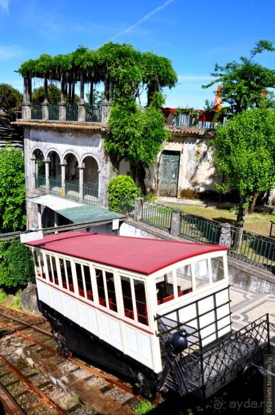 Брага и Гемарайш (не путать с геморроем)