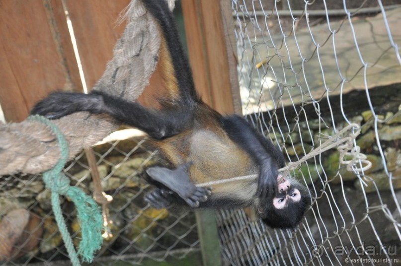 Гватемальский калейдоскоп