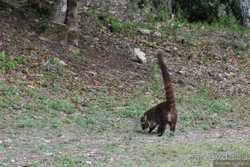 Гватемальский калейдоскоп